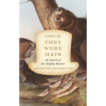 Once They Were Hats: In Search of the Mighty Beaver