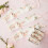 Ginger Ray Team Bride Floral Sashes x6 2