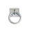 Stubbs Tie Ring Plate 1