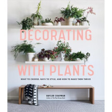 Decorating with Plants