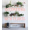 Decorating with Plants 1