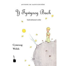 Y Tywysog Bach. Cymraeg: Le Petit Prince, Walisisch