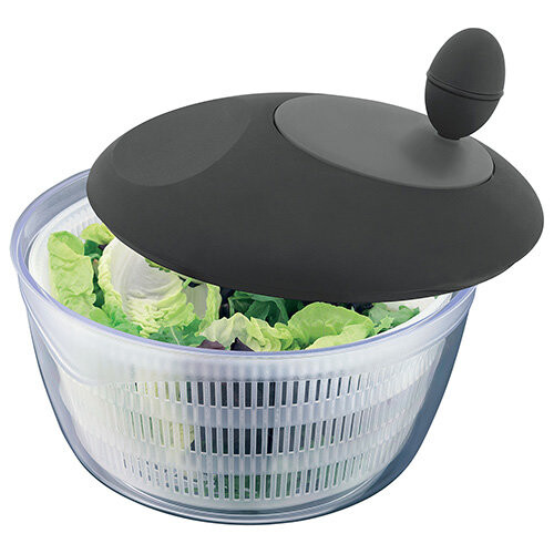 Judge JUDGE SALAD SPINNER
