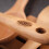 Stellar Stellar Beech Turner 2