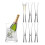 LSA International LSA International Moya Serving Set, Clear 1