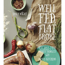 Well Fed, Flat Broke : Recipes for Modest Budgets and Messy Kitchens - Book