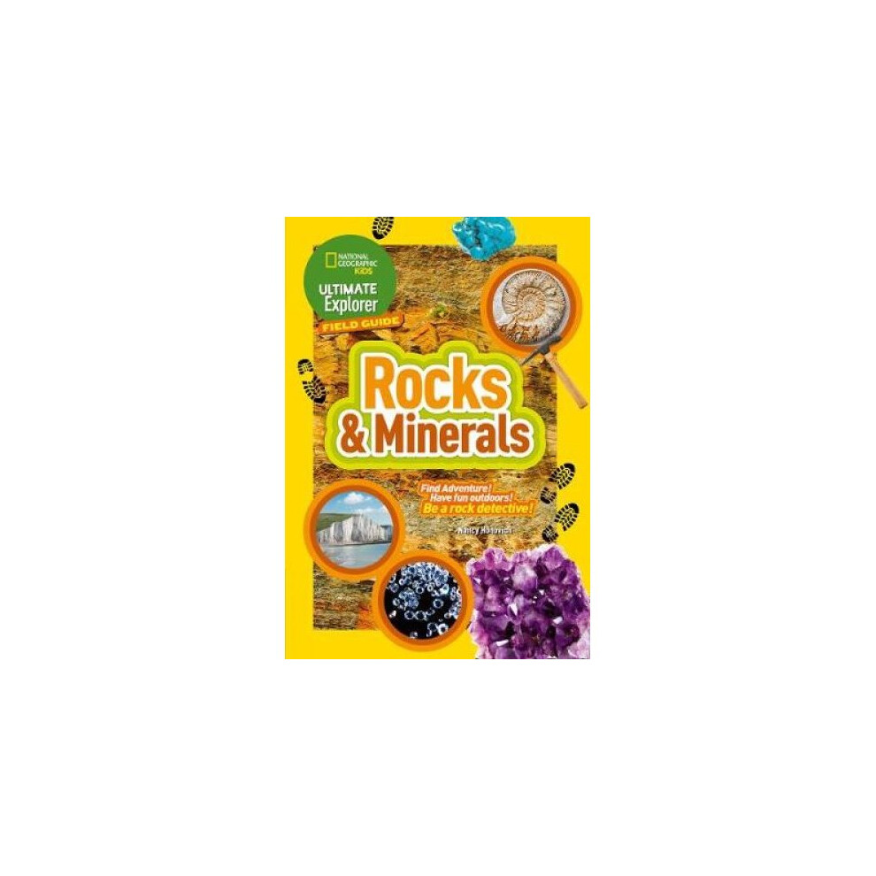 Ultimate Explorer Rocks and Minerals