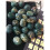 Rune Stones Bloodstone Tumbles Divination Runes Pouch 1