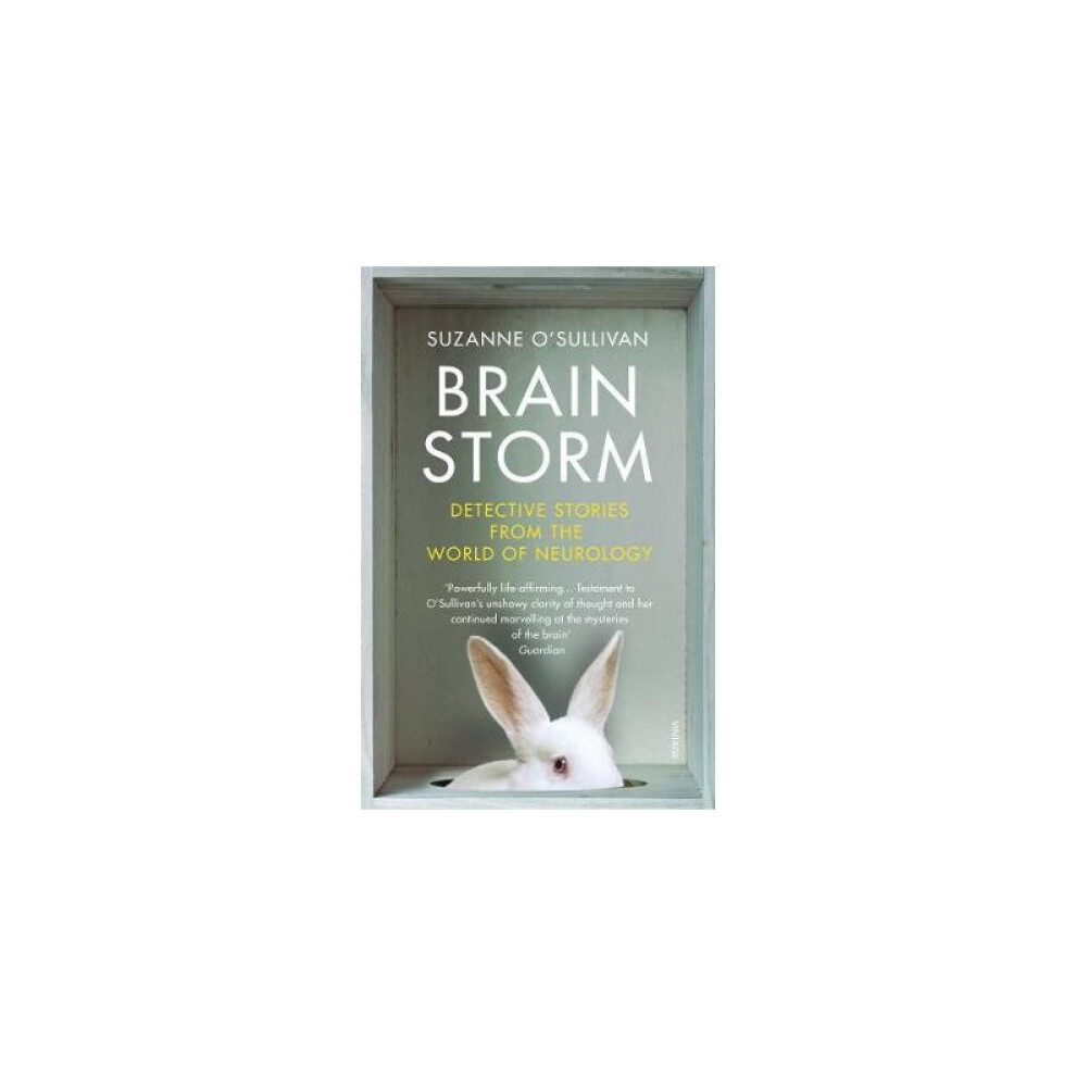 Brainstorm