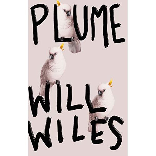 Plume