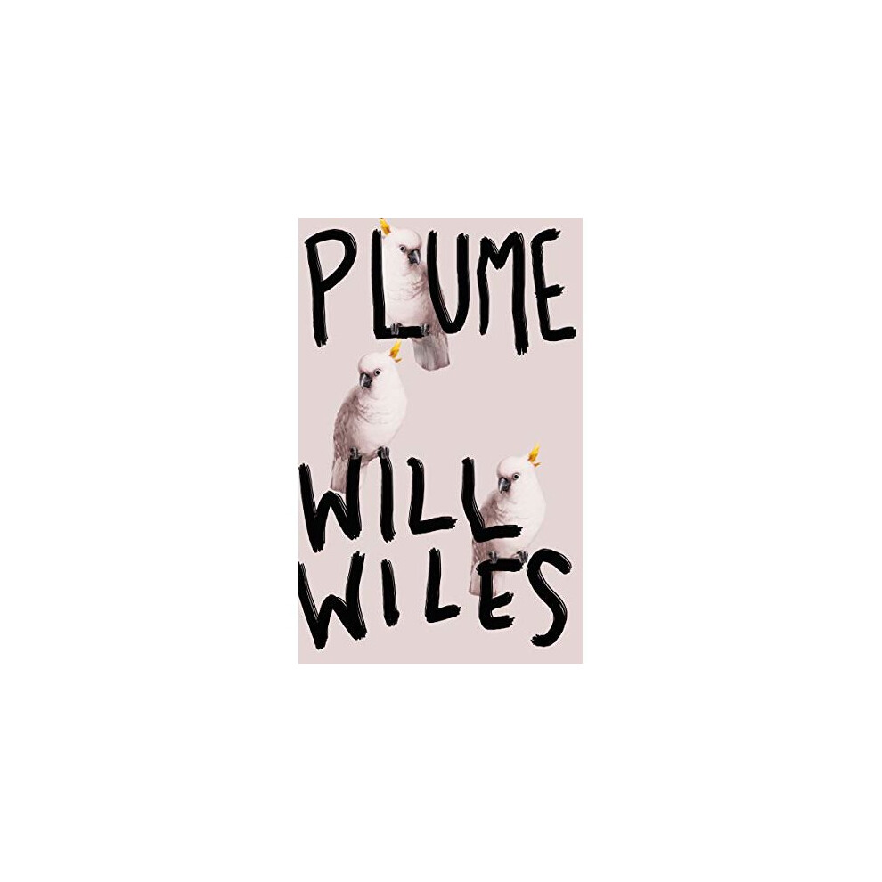 Plume
