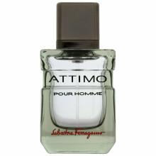 Attimo Pour Homme by Salvatore Ferragamo Eau de Toilette 40ml