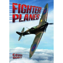 Fighter Planes (Wow! Facts (P))