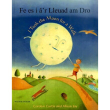 I Took the Moon for a Walk