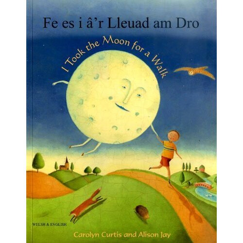I Took the Moon for a Walk