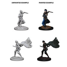Pathfinder Roleplaying Game Unpainted Miniatures Elf Female Rogue