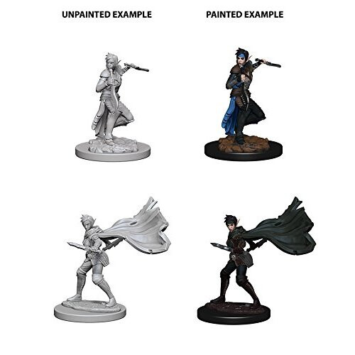 Pathfinder Roleplaying Game Unpainted Miniatures Elf Female Rogue