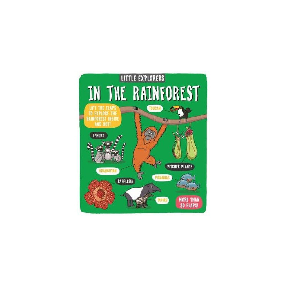 Little Explorers: In the Rainforest