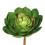 Green Cactus Succulent - 8 in. - 3 Per Bag 1