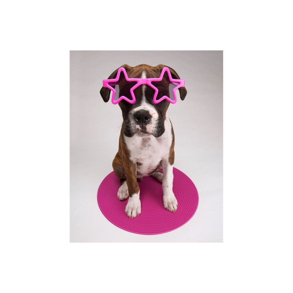 Portrait of Dog Wearing Star-Shaped Sunglasses Poster Print, 12 x 15