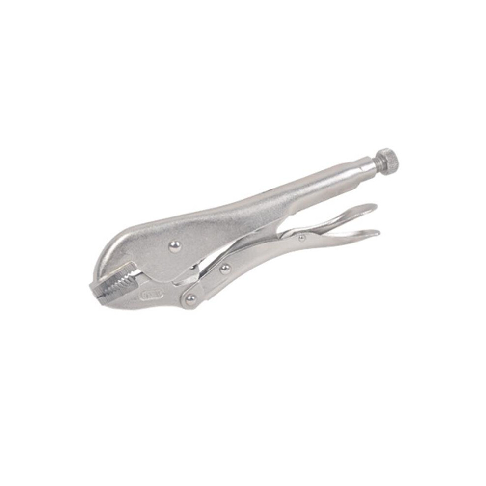 Asia Master Mechanic Straight Locking Pliers - 10 In. 753153400127