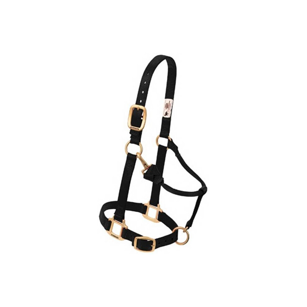 Photos - Equestrianism 35-1032-BK 0.75 in. Pony Original Adjustable Chin & Throat Snap Halter - Black DA1232978