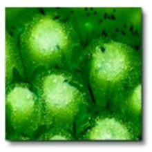 True Flow Lead-Free Non-Toxic Crystal Magic Glaze, 1 Pint, Spotted Kiwi