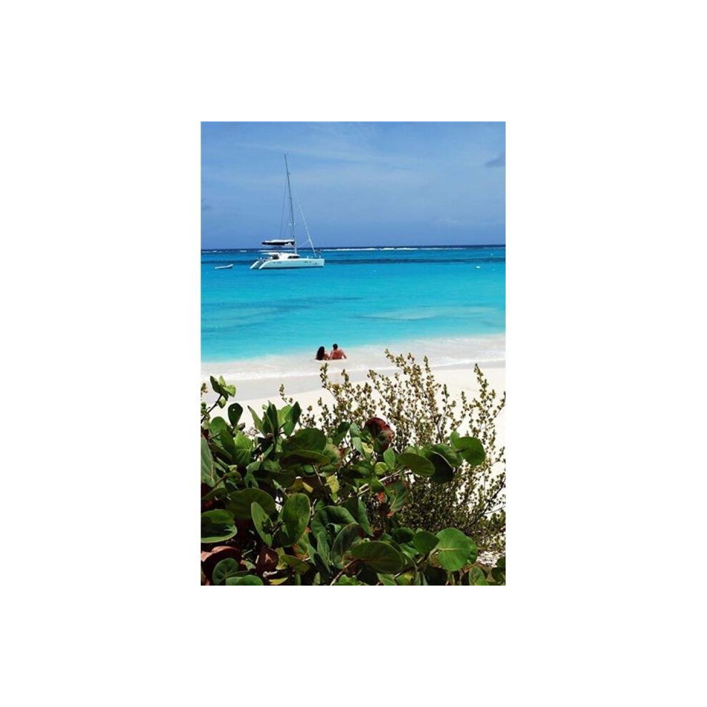 Swimming the Waters of Prickly Pear Island with Festiva Sailing Vacations Print by Lynn Seldon