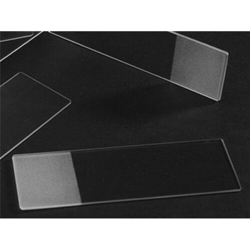 Beveled Single Frosted Slides, one end, one side