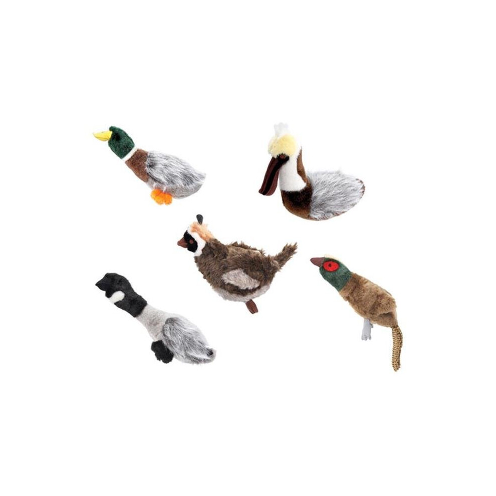 Squawk Flock Pheasant