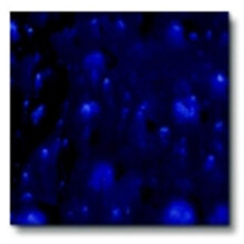 True Flow Lead-Free Non-Toxic Crystal Magic Glaze, 1 Pint, Celestial Blue