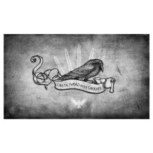 14 x 24 in. Sword in the Dark Playmat