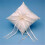 Simplicity Ring Pillow - Ivory 1