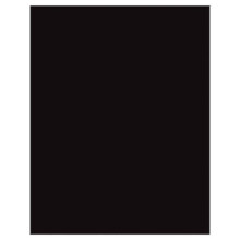 Poster Board 18 Point Coated 22 x 28 Black, 25 Count