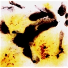 True Flow Lead-Free Non-Toxic Crystal Magic Glaze - 1 Pt. - Cheetah