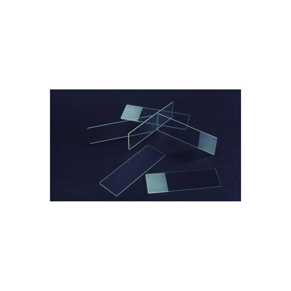 Plain - Enhanced - Gross Pack 144-image-OPC-PWDP5Y-NEW