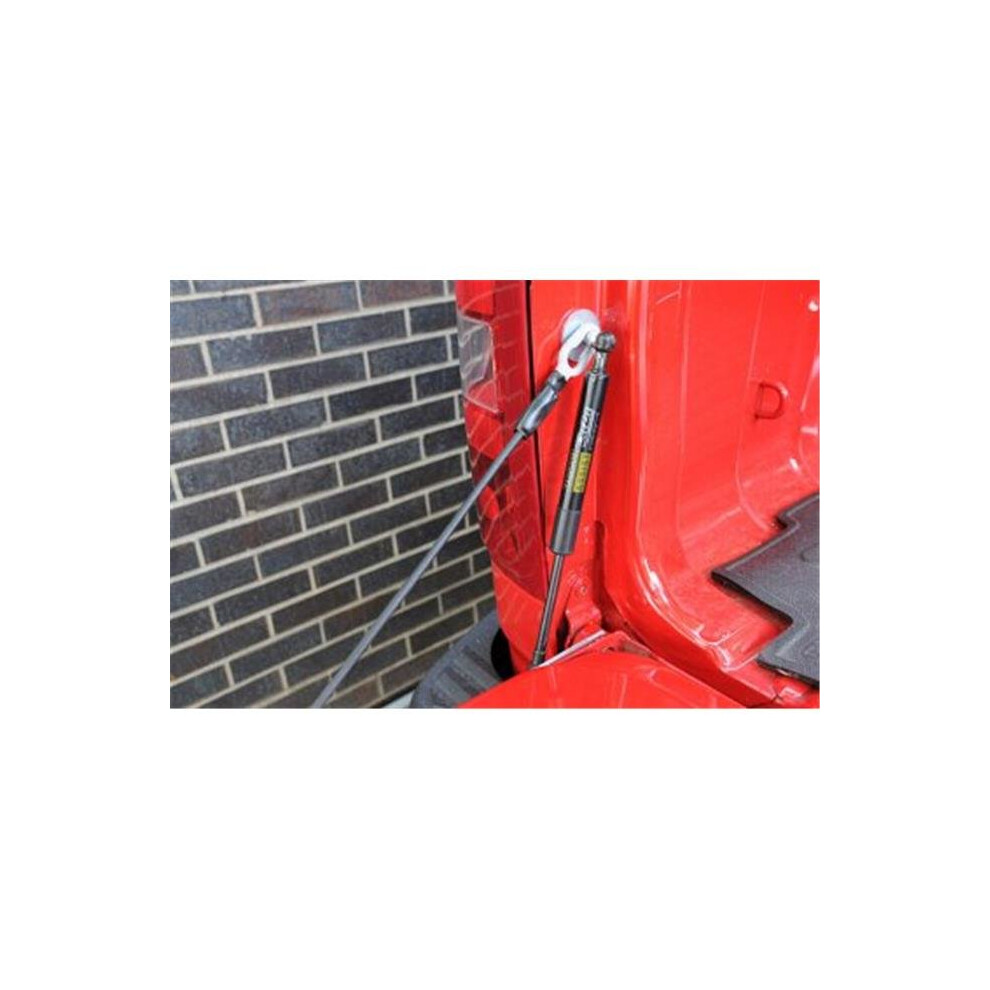 43100 Truck Tailgate Assist 657248166243