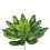 Green Cactus Succulent - Pack of 6 1