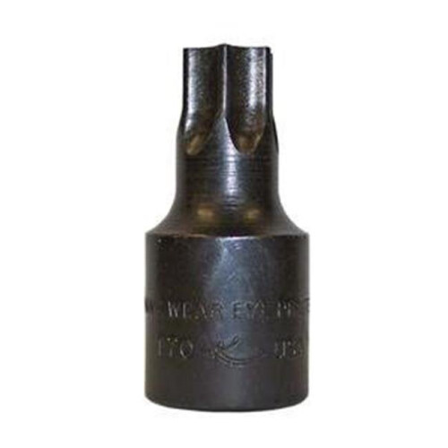 Keen 50in. Drive Internal Torx Socket - T70