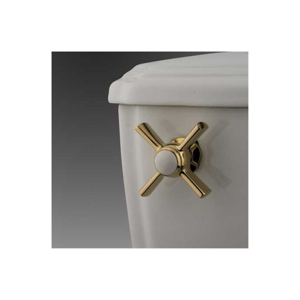 Millennium Toilet Tank Lever Polished Brass 661541541584