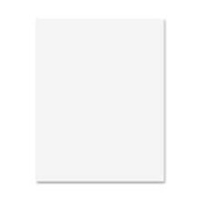 5460-5 Railroad Poster Board, 14 Pt., 22 X 28, 50 Sheets Per Ct, White