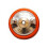 Xtreme Basecoat Air Cap 1