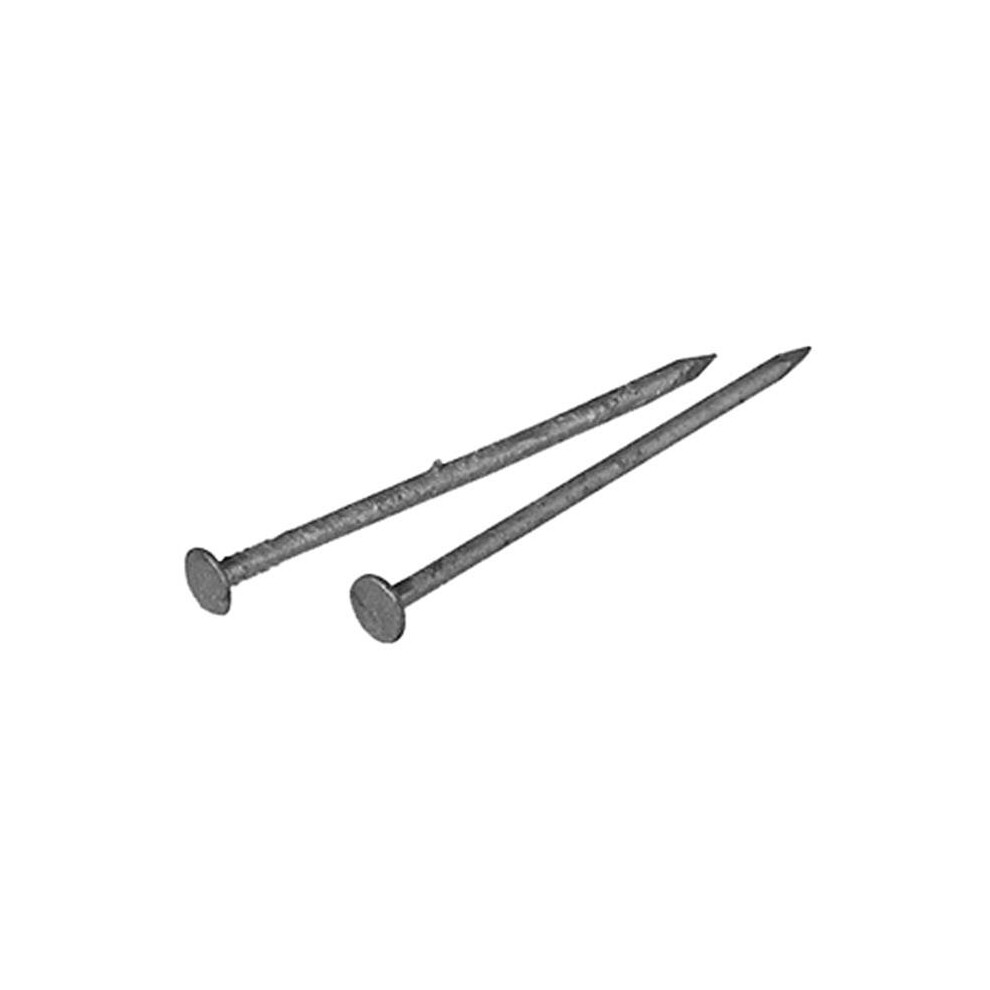 461322 Galvanized Box Nail 3 In. 10D 753153412878