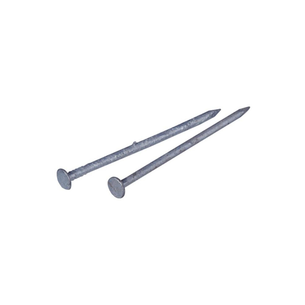 461283 3 In. 10D Galvanized Common Nail 723902272077
