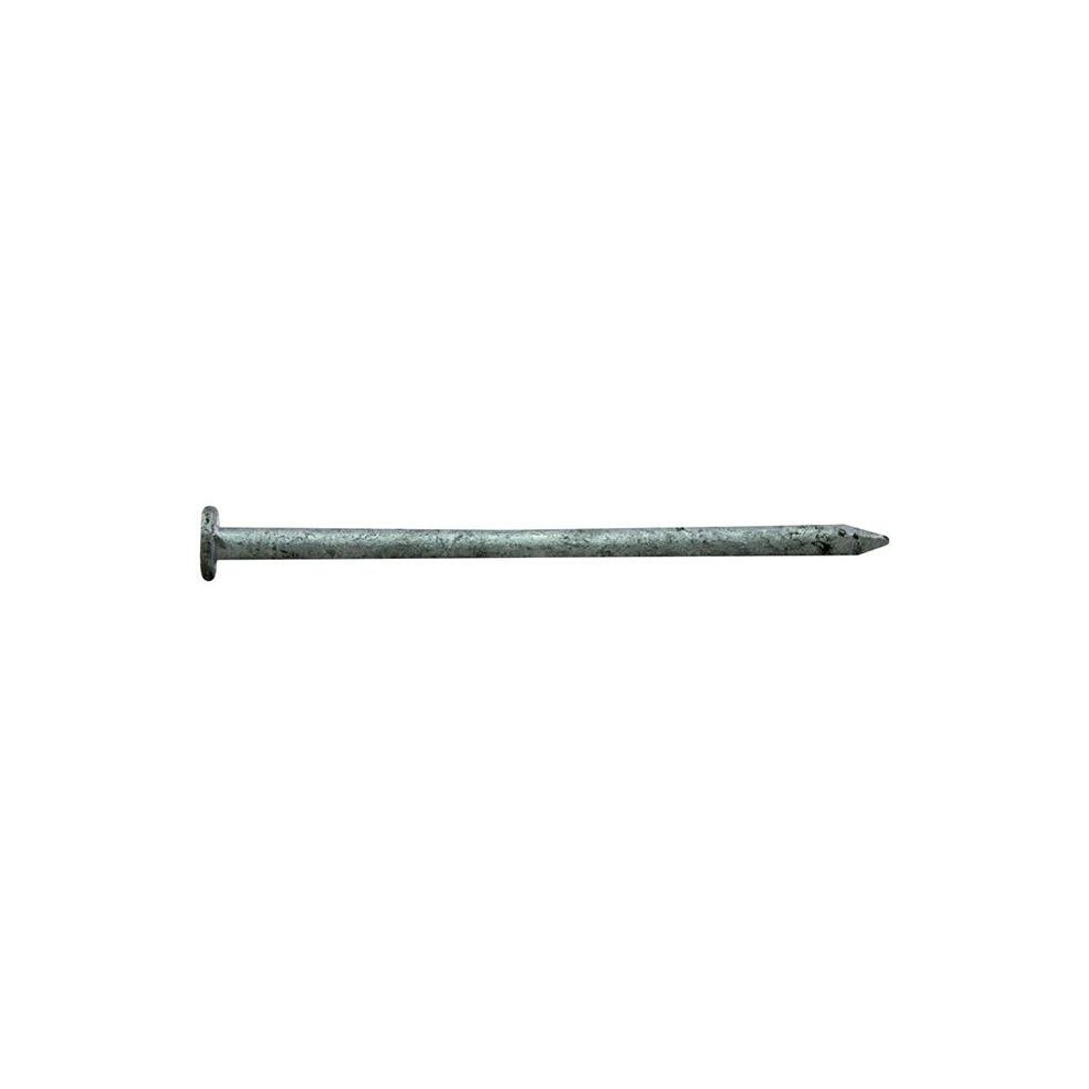 16D X 3.5 In. Pro Nail Common Gal, 1 Lbs 654204860573