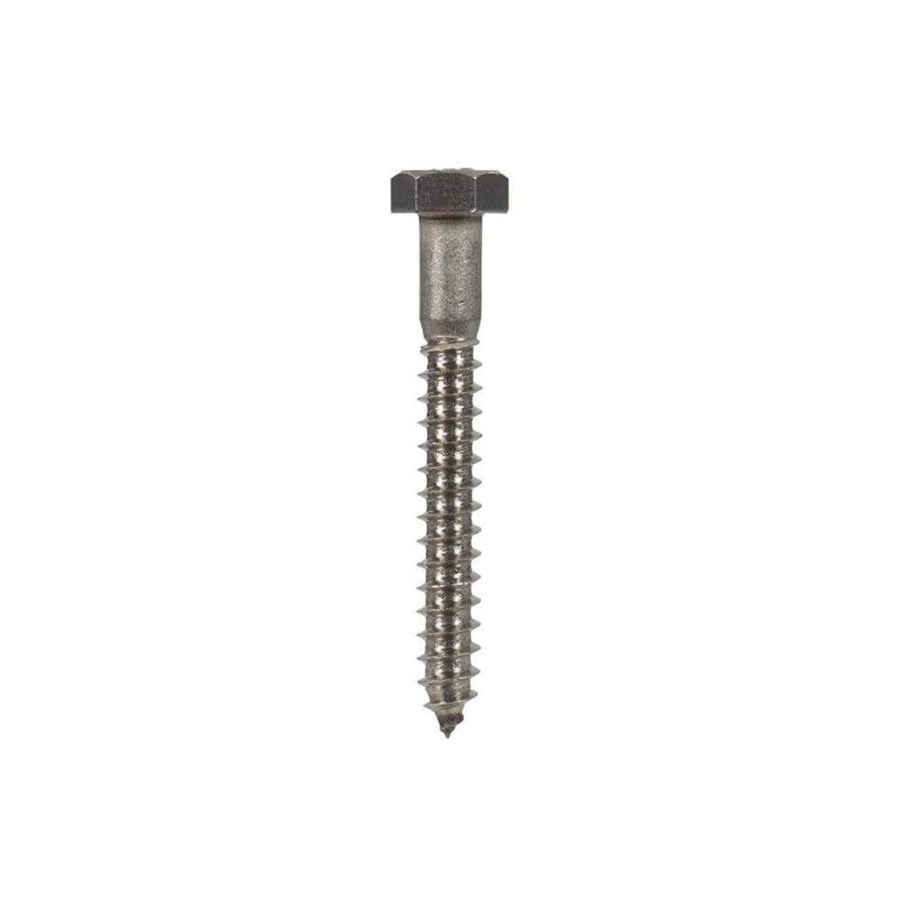 832038 0.312 X 2.25 In. Stainless Steel Lag Bolt 654204822656