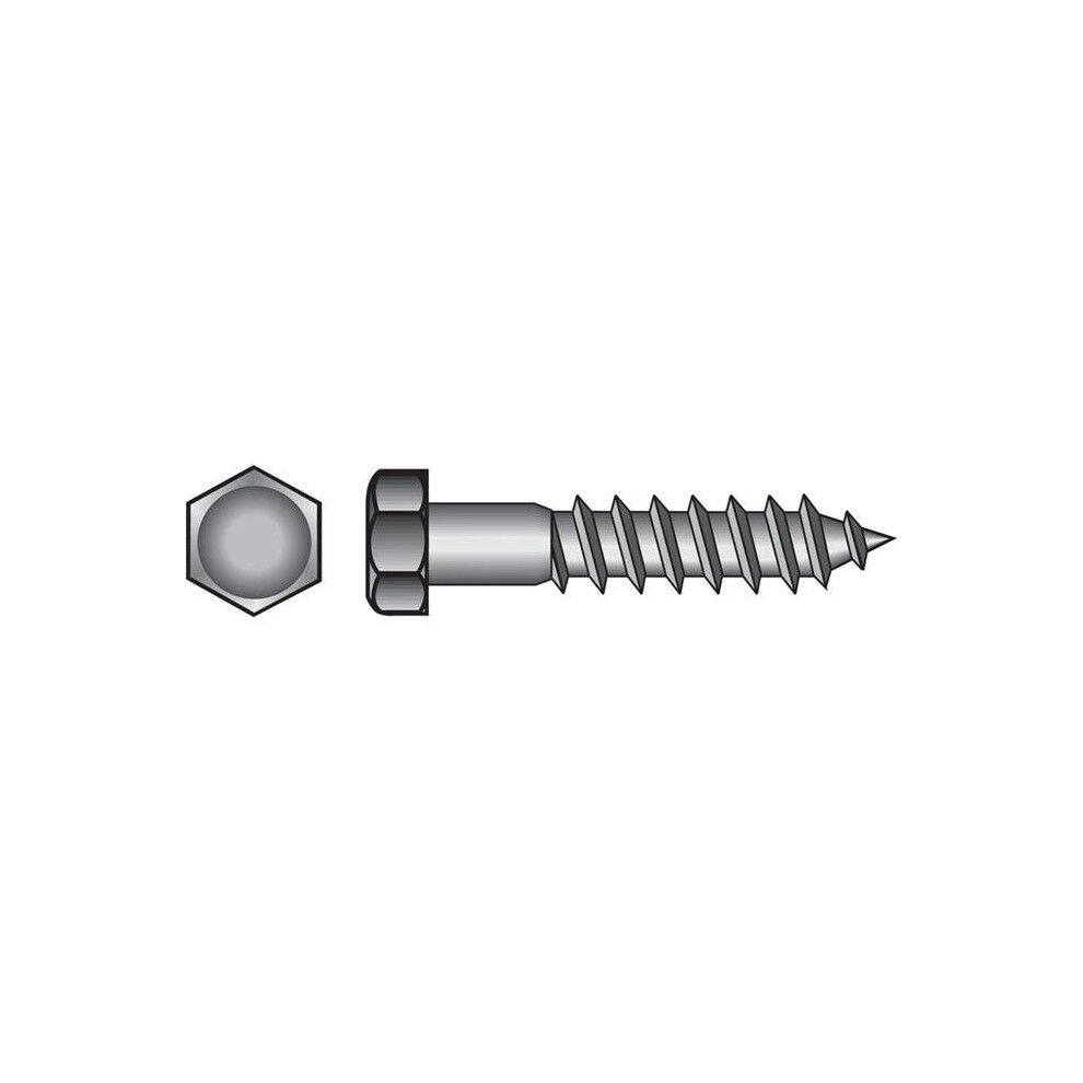 0.31 X 2 In. Hex Lag Screw Zinc 739608242047