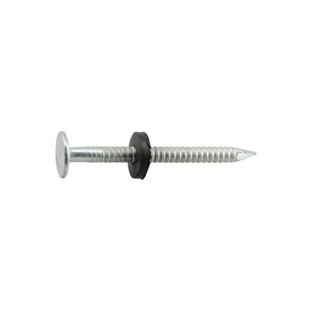 461452 1.75 In. Hot Dipped Galvanized Roofing Nails 753153412434