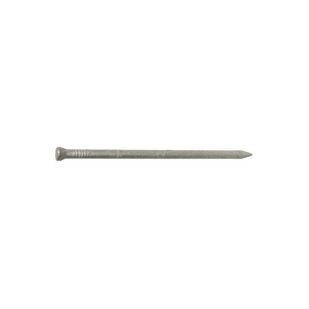 461306 2.5 In. 8D Hot Dipped Galvanized Nail 753153413011