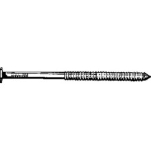T449A125 10D Pressure Treated Wood Nail